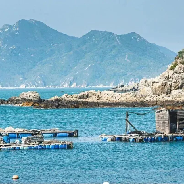 惠州进全球榜单！快来看看吧~