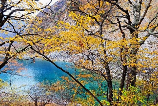 四川这个地方的初冬，是彩色的！