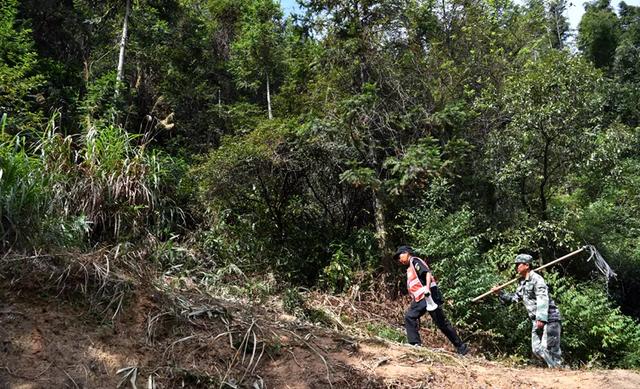 监守自盗! 2024年, 湖北一护林员在山里架980米电网, 冰柜中搜出肢体