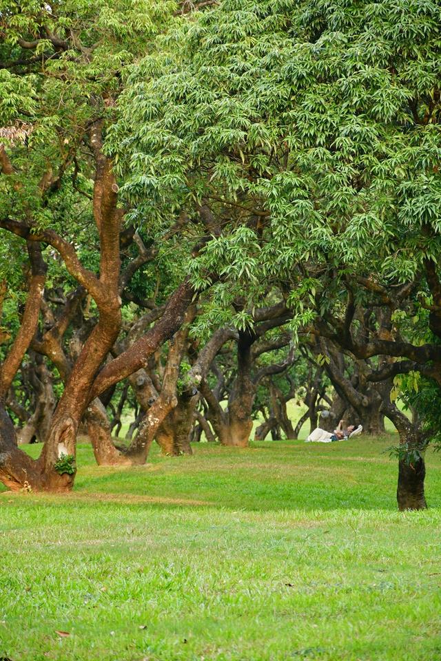 跟着十五运游深圳 | 从热血赛场，一脚踏进千年古城的光阴副本~