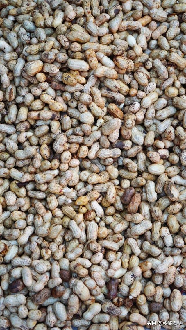 去过吗？这座千年码头的老场镇