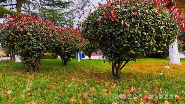 徽县的初冬，是秋天的一场盛大留白