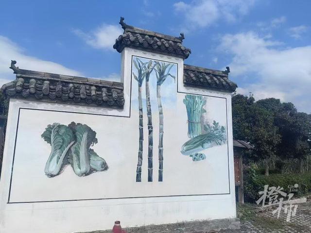 爆火全国的“偷甘蔗”，又是浙江人想出来的！橙柿专访“第一发明人”