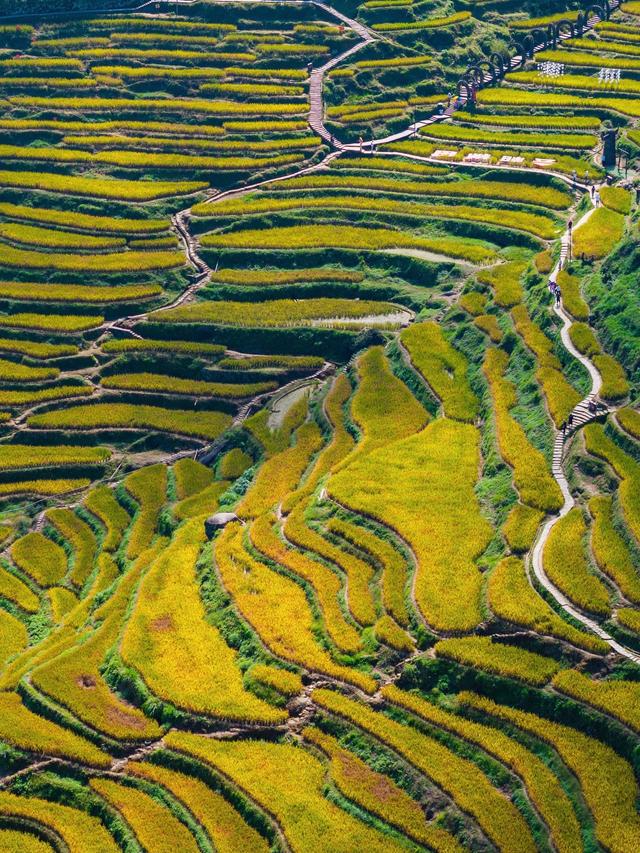 浙江省22个5A景区，你去过几个？