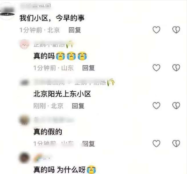 曝演员于朦胧北京坠楼离世！尸体凌晨在楼下被发现，遛狗邻居报警