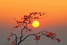 “句句歪理，句句在理”图片