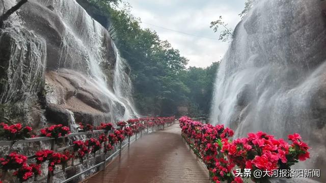 汝阳西泰山：24℃的夏天，绝佳避暑胜地
