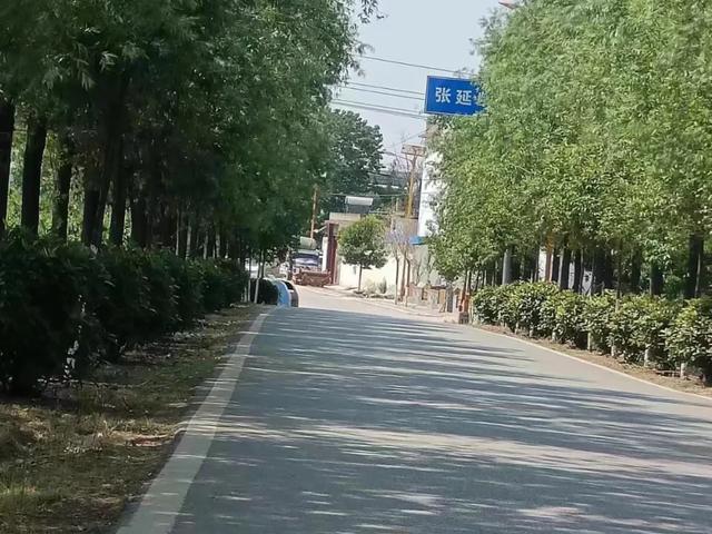 难忘我的故乡——唐河县毕店镇张延龄村