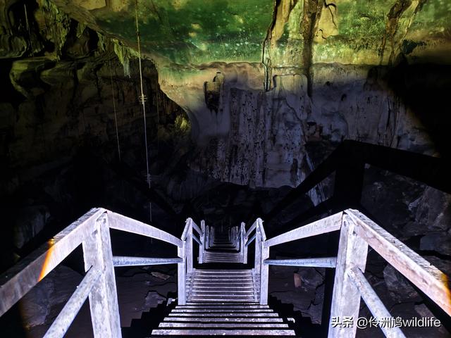 马来西亚(32)砂拉越州⑥世界遗产尼亚洞窟探险