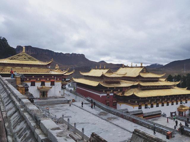 全球最大湿地草原竟在中国！比内蒙古呼伦贝尔温婉，居然免费！