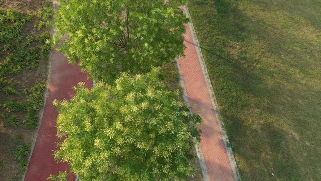 大美泌阳：小城藏锦绣 湿地绘丹青