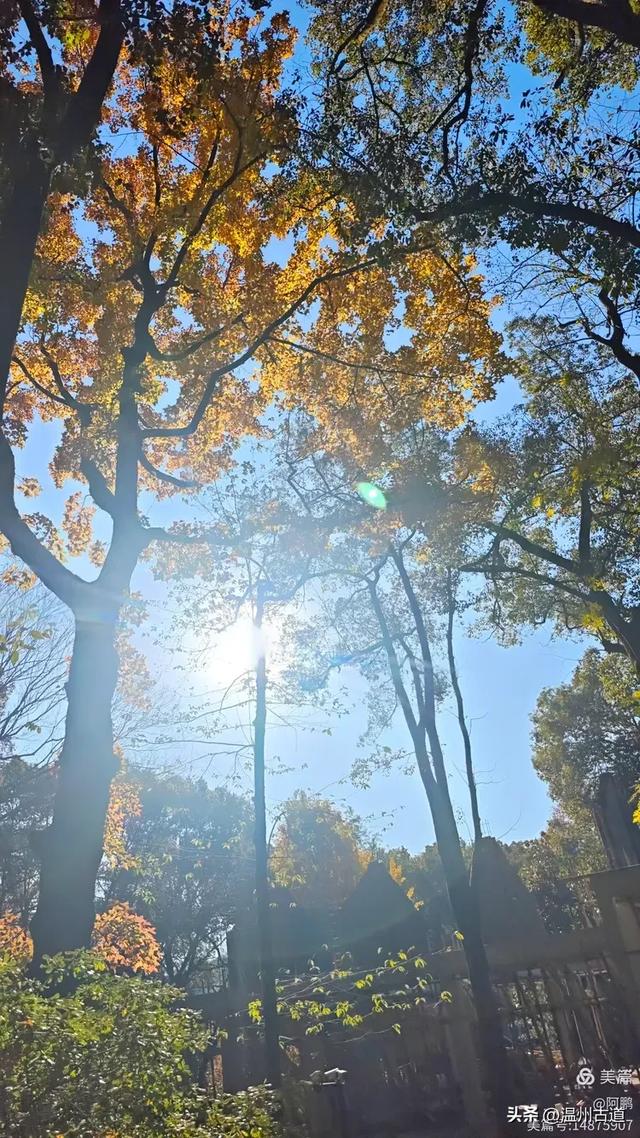 秋染浙西,邂逅烂柯仙境的绝美风光!