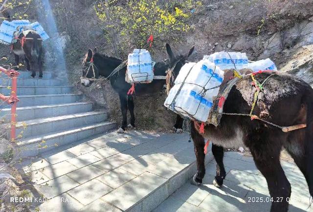 到河北张家口登鸡鸣山