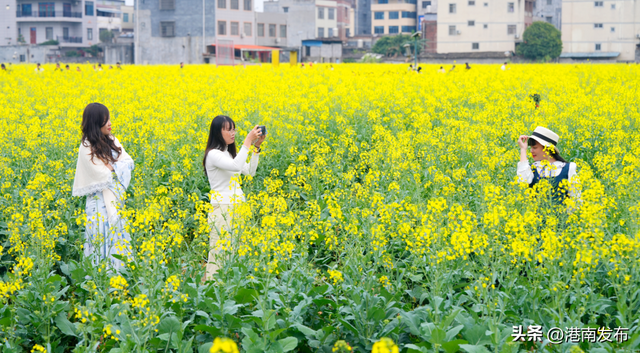 不负花期，不负春光，山边等你