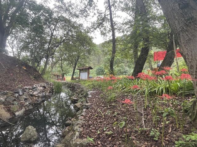 骑游滁州西神山寺森林公园花山风景线