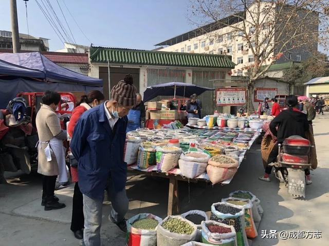 千年文庙、百年公馆……成都这个古镇严重被低估！