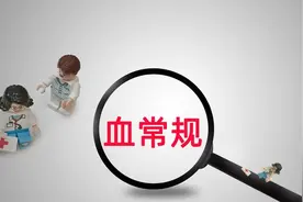 血常规最怕哪几项不正常？揭秘这些指标与疾病之间的关系图片