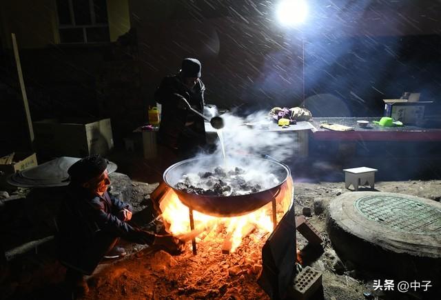 狼啸草原，四季如画：新疆的秘境与跨物种的生命传奇