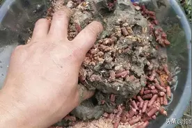 这样打“隔夜窝”，等于没打！图片