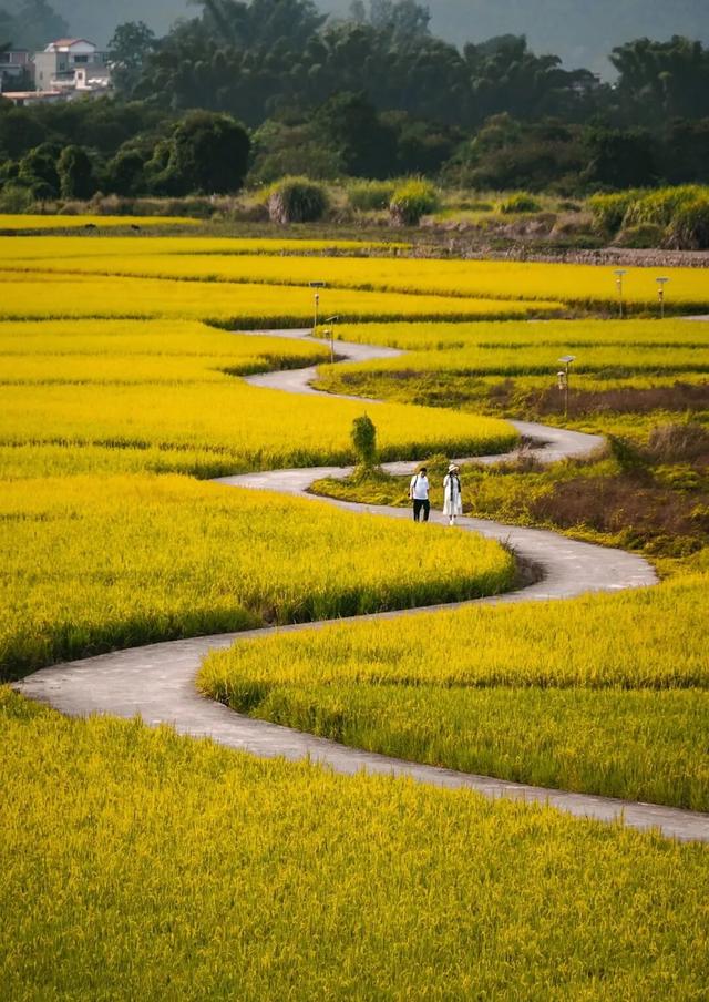 拿好这份初秋“寻色地图”，骑行解锁韶关的限定美景