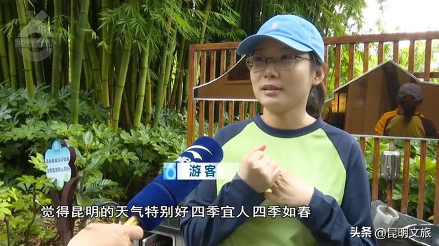 昆明跻身Top6！“十一”机票预订火爆