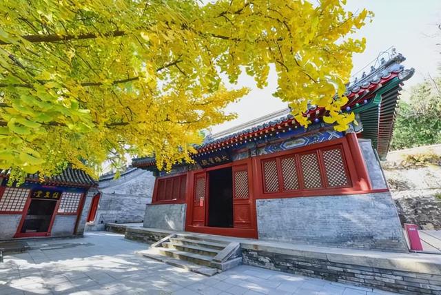 文明旅游 正面引导 | 秋色惹人醉，防火放心上！