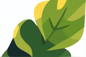 太原市外国语学校（凤凰校区）2024级初一新生入学须知图片