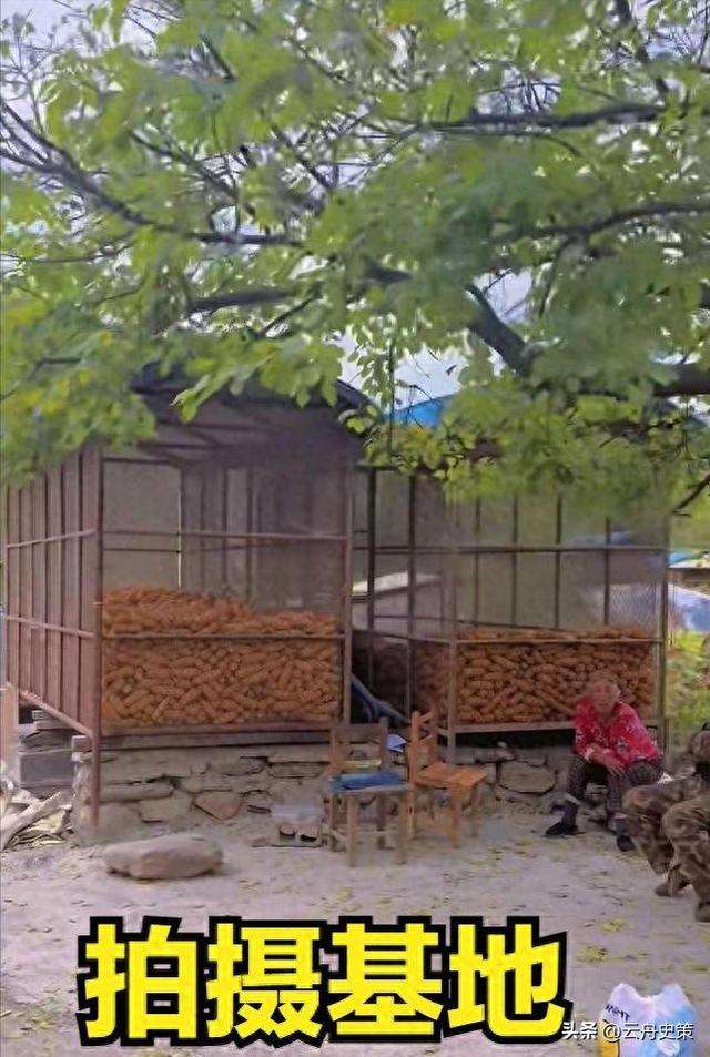 央视怒批，国务院点名封杀，这几位坑蒙老百姓的大网红，彻底凉凉