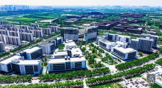 在天津津南，看见中国城市的另一种可能