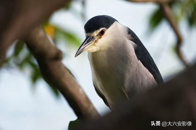 六安：丹桂飘香瓜果甜 山水美景等你来