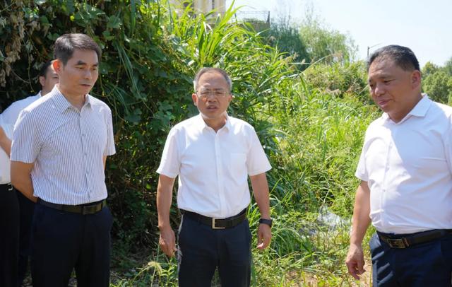 【湾里时政】刘昌华实地督导索道项目交通优化 并夜巡项目灯光效果