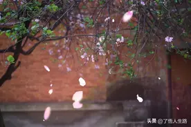 情劫，当你放手时，注定好运已到来图片