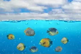 成都就业形势感悟图片