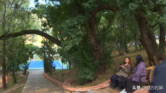 石屏仁寿村：闲置校舍变民宿 乡村文旅添新景