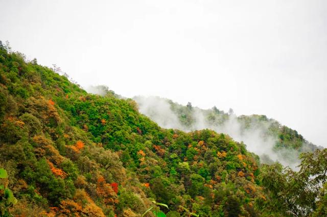 来洋县华阳！赴一场秋日之约~