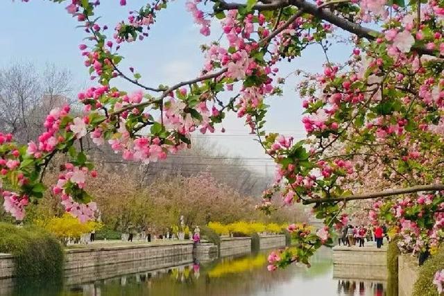 北京元大都城垣遗址公园 海棠花溪