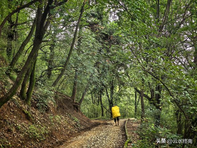 “天下第一福地”、西安这么有名气的地方免费开放，竟然还不知道