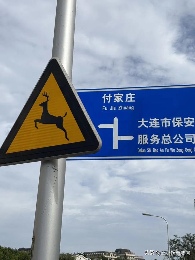 属于我的大连时刻。