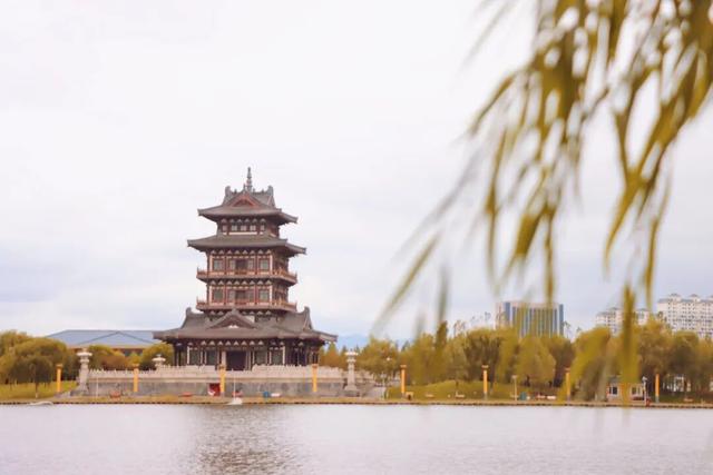 【白银文旅】秋韵满城区！白银区秋日美景陆续上新