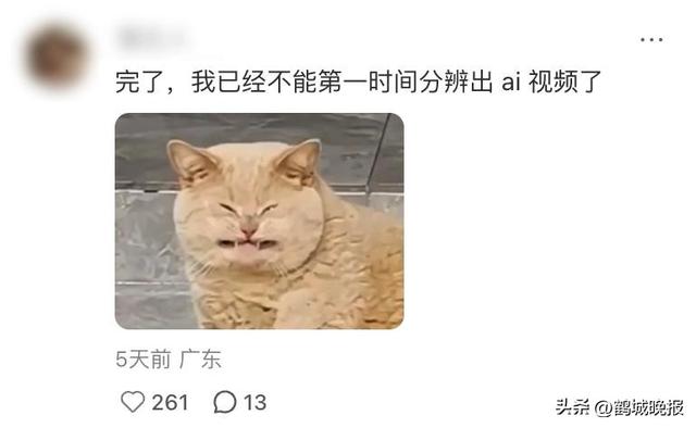 刷到的猫狗视频全是 AI 做的，连教授批学生都是假的，我还能信啥？