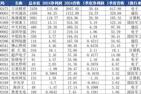 中央汇金公司重仓19只大科技股图片