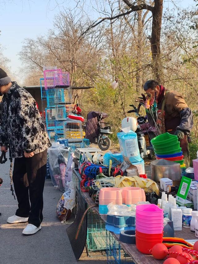 记录德州:岔河河堤上的大集,人山人海,异常热闹