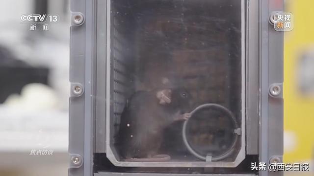 中国航天奏响新乐章 神二十一有接力更有突破！