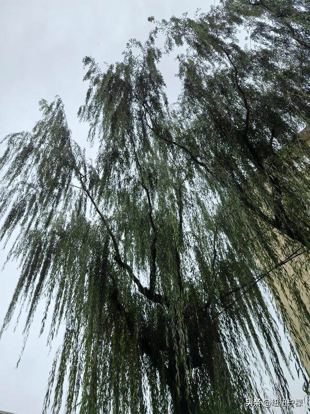 延安宝塔区有宝塔和众多革命纪念地，部分路段停车不便，吃了饸饹