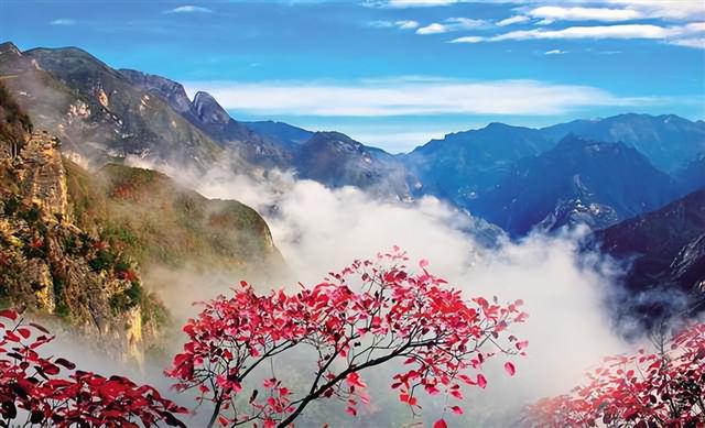 渝陕鄂“生态明珠”焕新彩 巫溪文旅高质量发展谱新篇