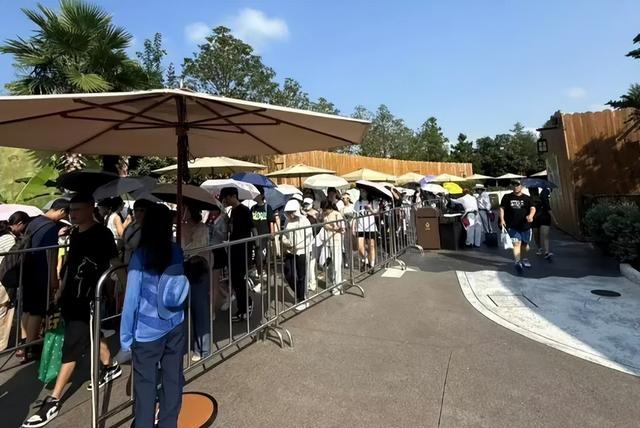 主题乐园国庆遇冷：曾排队3小时，如今门票卖不动