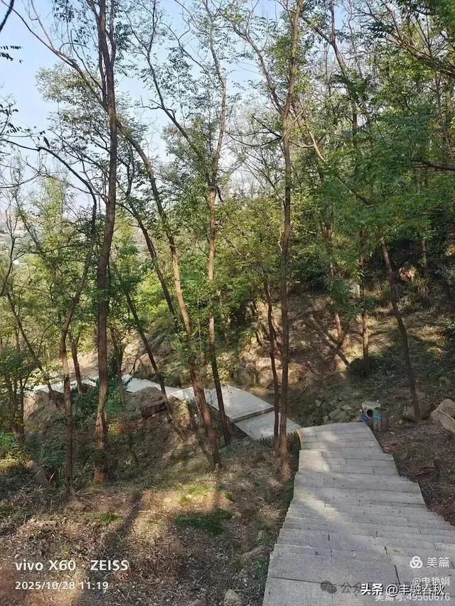 青岛大珠山记:从石门寺到拜佛台的云端巡礼| 申艳娟