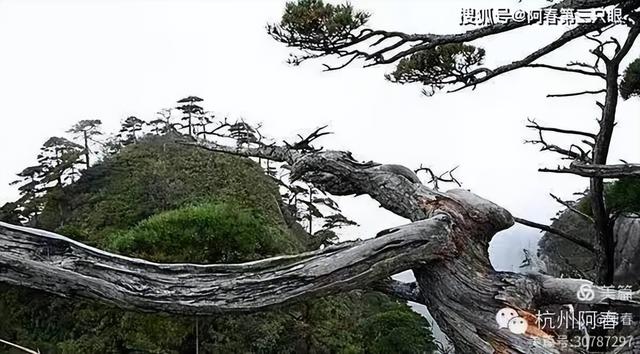奇峻秀美 三清山