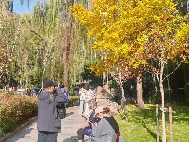 秋色正当时！这座4A级公园换上了“美拉德”秋装