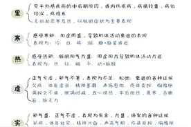 八纲辨证：中医名家传授的病情诊断宝典图片